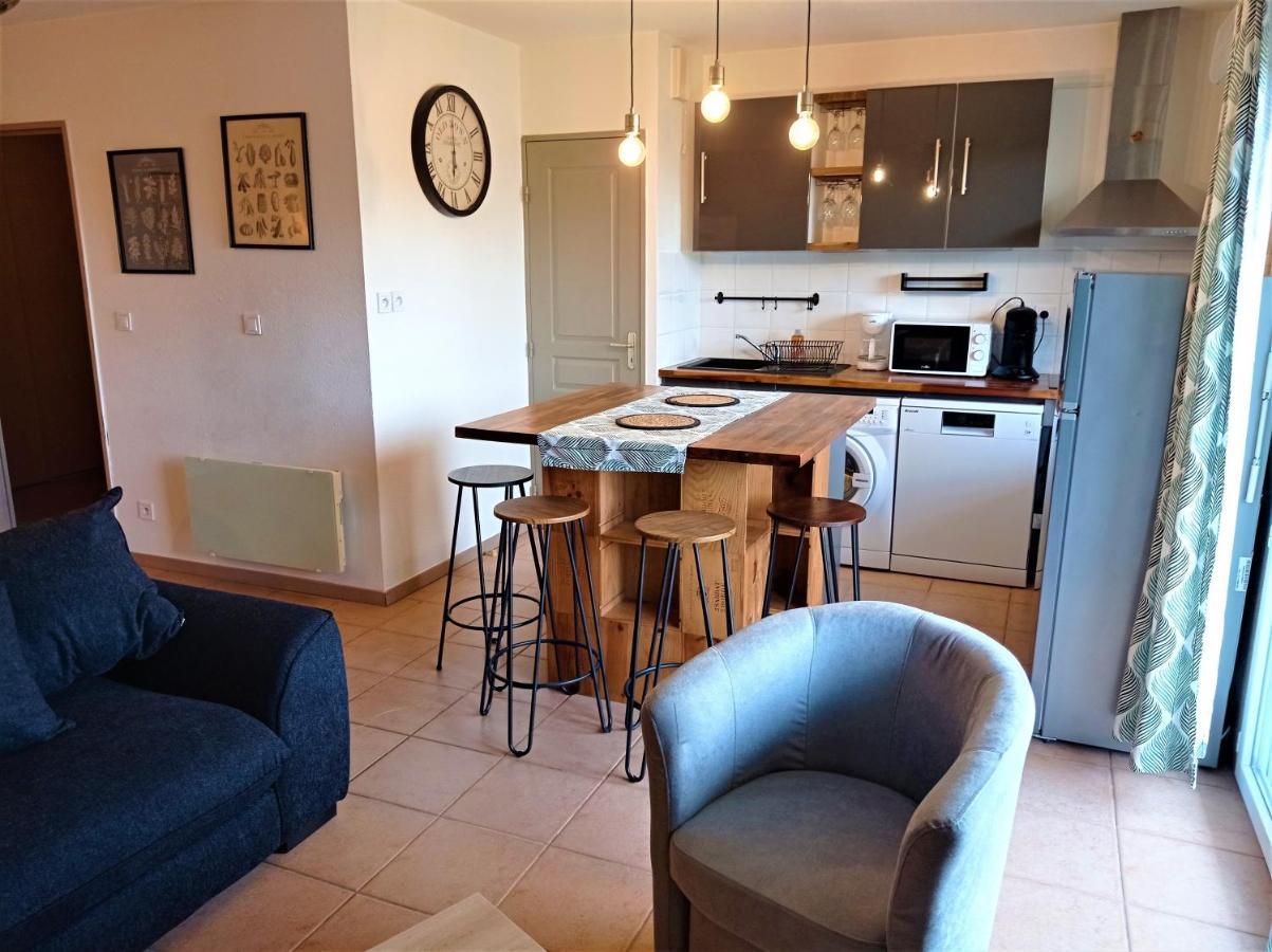 Appartement Proche Cite Medievale Et Centre Ville - Parking Prive Καρκασόν Εξωτερικό φωτογραφία